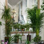 A vibrant display of various lush plants and a decorative mirror enhance this charming indoor space.